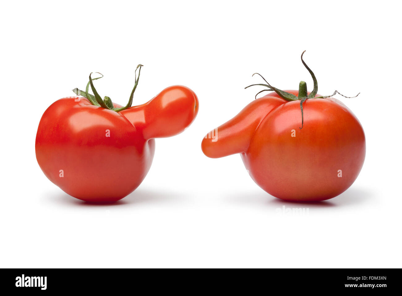 Sprechen neugierige Tomaten auf weißem Hintergrund Stockfoto