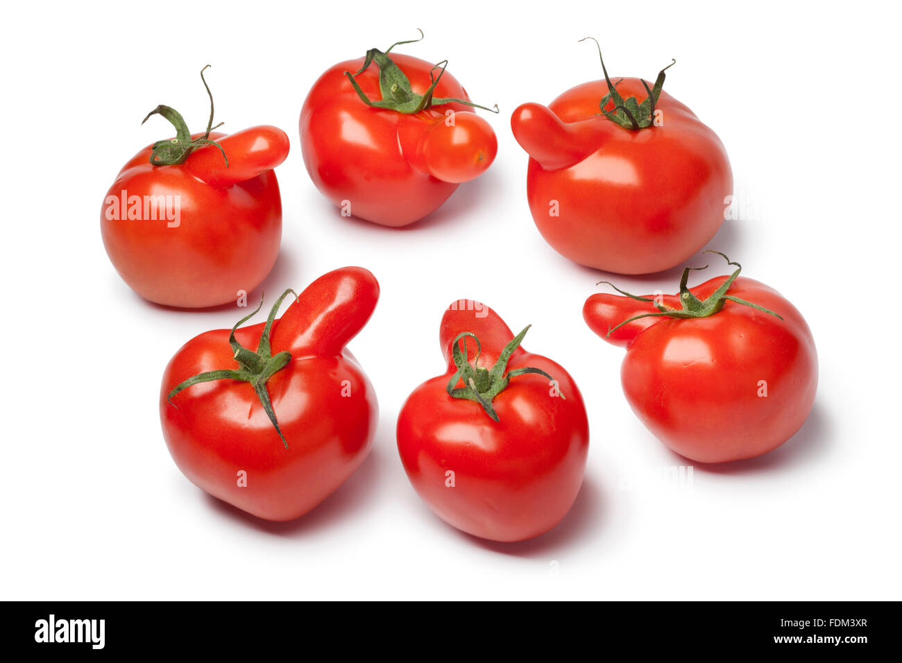 Gruppe von nosy Tomaten auf weißem Hintergrund zu sprechen Stockfoto