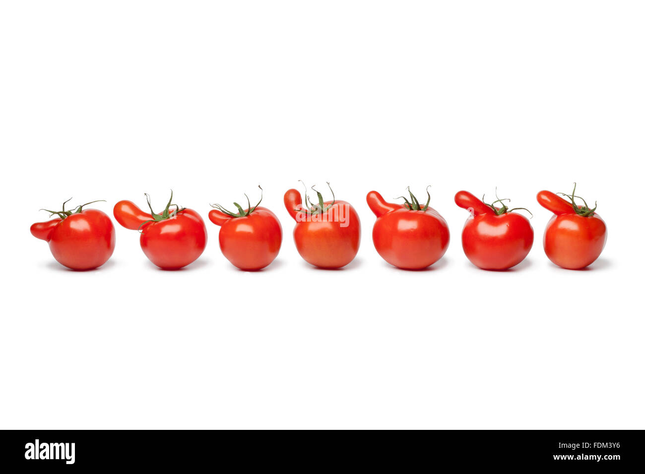 Reihe von nosy Tomaten auf weißem Hintergrund Stockfoto