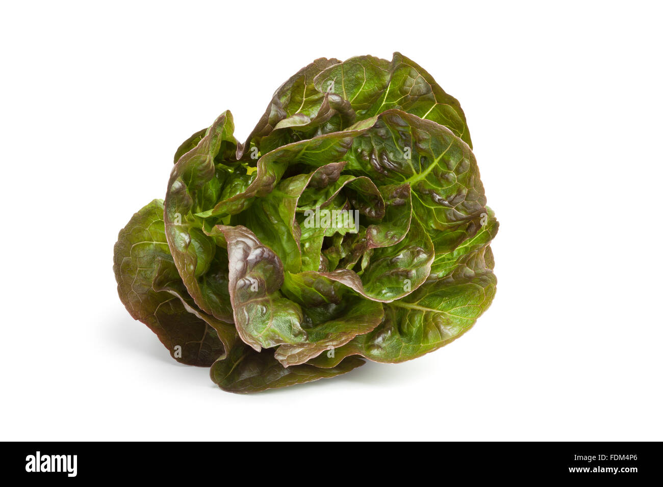 Wenig frisches Gem Salat auf weißem Hintergrund Stockfoto