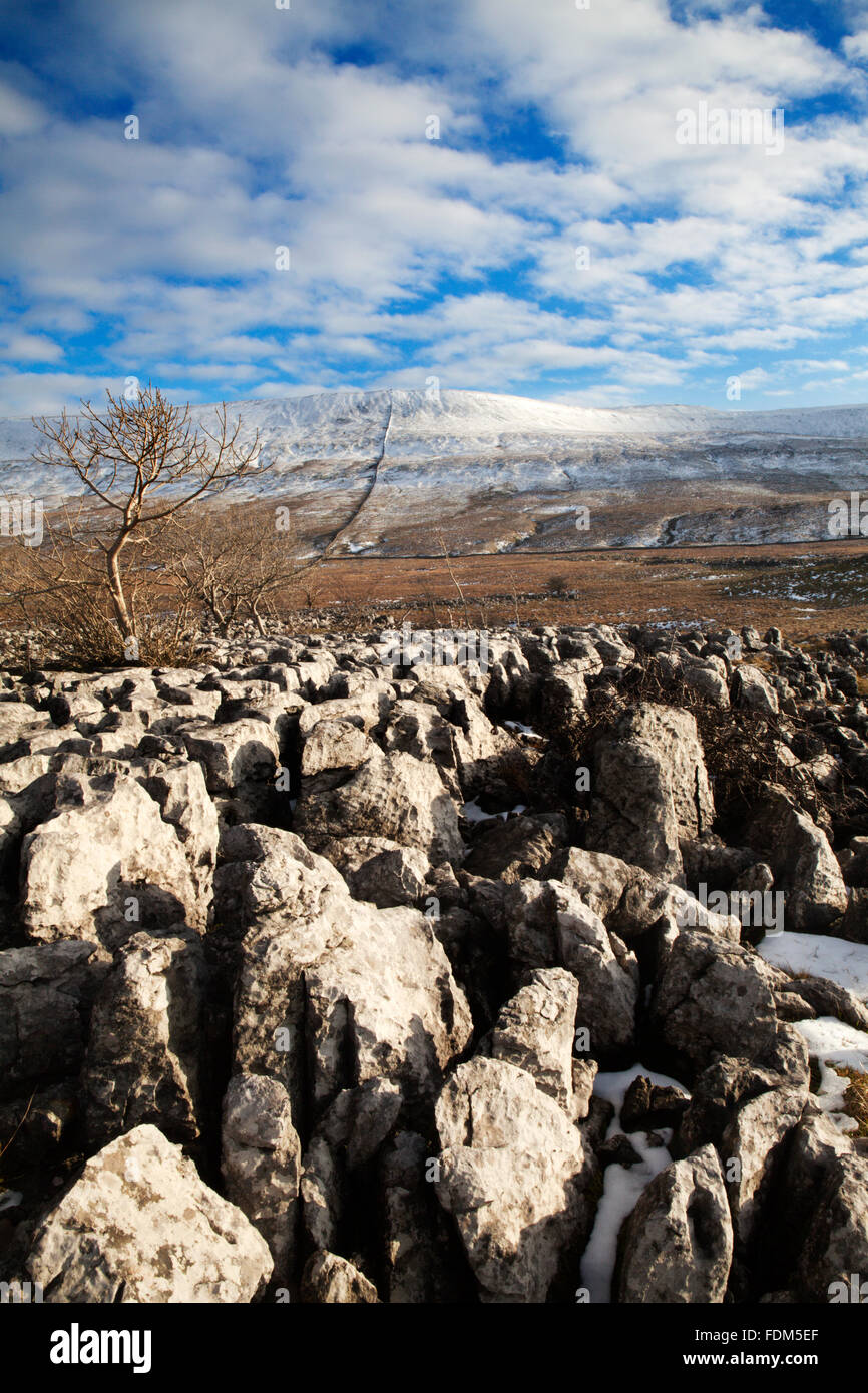 Kalkstein Pflaster auf Southerscales und Simon Fell im Winterkapelle le Dale Yorkshire Dales England Stockfoto