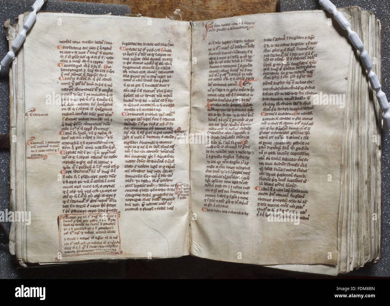 Eine Öffnung aus dem Manuskript des William Britos Mitte Vocabulorum Bibliae aus der Bibliothek der Nonnen von Lacock Abbey, frühen vierzehnten Jahrhundert (vielleicht geschrieben, und sicherlich in Lacock gebunden).  Dieses Manuskript ist vermutlich das einzige Buch f Stockfoto