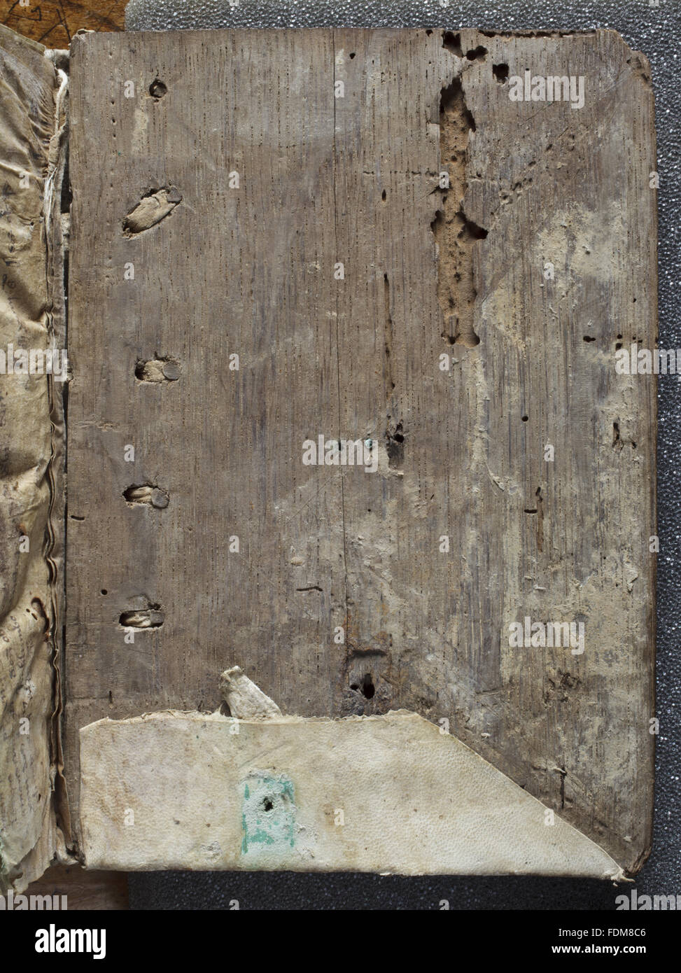 Eiche Decken aus dem mittelalterlichen Manuskript des William Britos Mitte Vocabulorum Bibliae aus der Bibliothek der Nonnen von Lacock Abbey, Anfang des vierzehnten Jahrhunderts (vielleicht geschrieben, und sicherlich in Lacock gebunden).  Dieses Manuskript ist vermutlich die onl Stockfoto