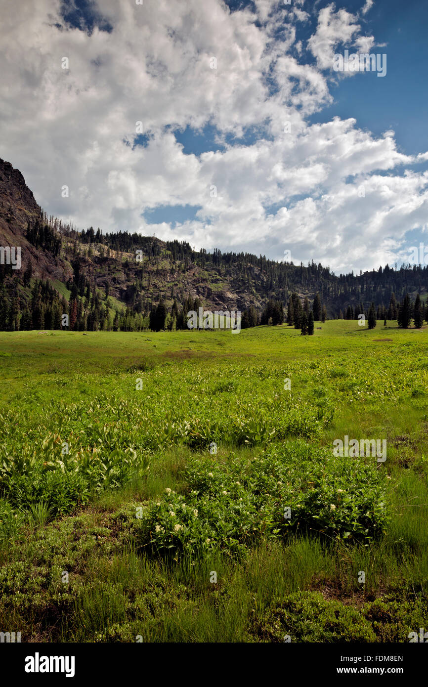 CA02675-00... Kalifornien - Wiese am Himmel hohen Seen in die Marble Mountains Wilderness Area des Klamath National Forest. Stockfoto
