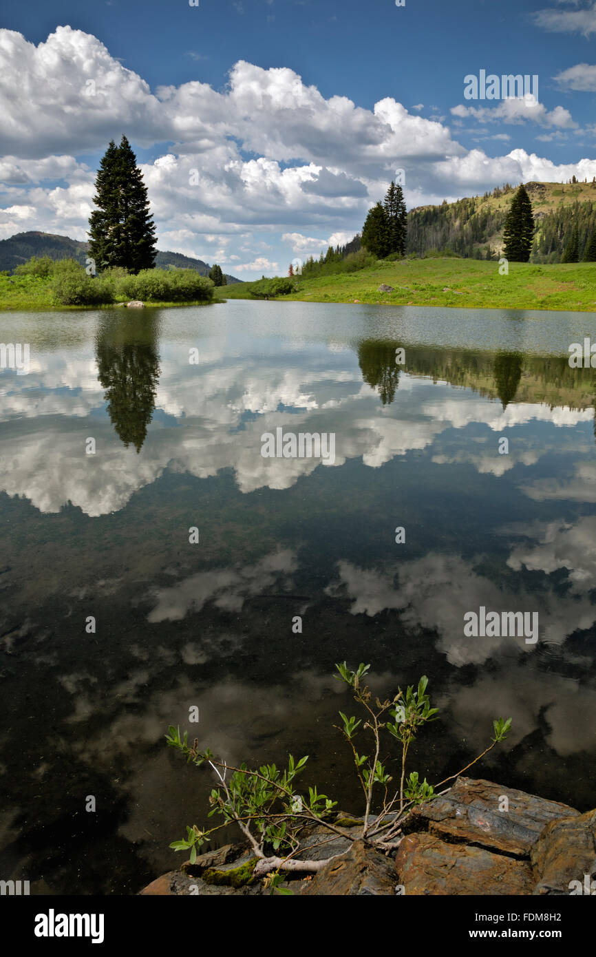 Kalifornien - Reflexionen von Wolken am Frying Pan Lake im Sky High Seen Becken des die Marble Mountain Wilderness Area. Stockfoto