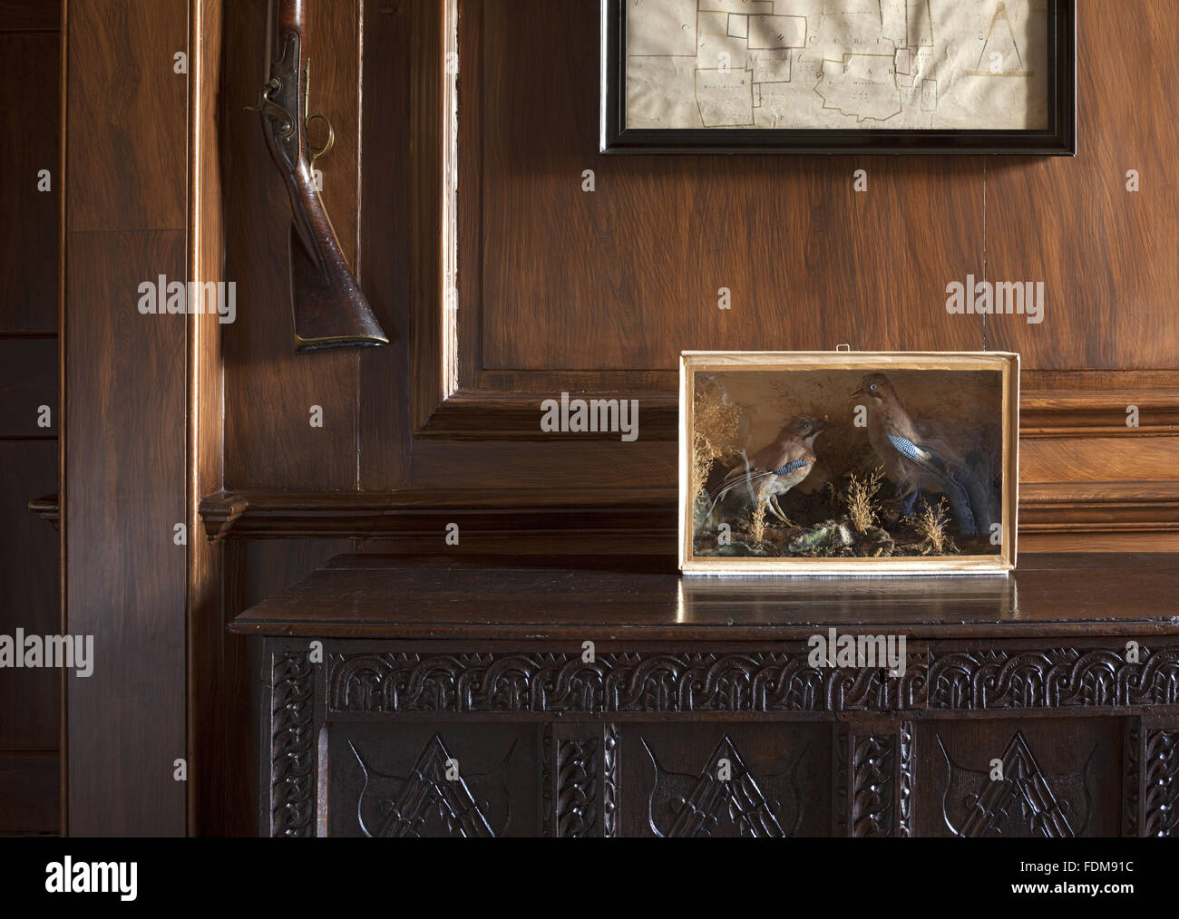 Eine kleine Kiste mit ausgestopfte Vögel auf eine geschnitzte hölzerne Truhe in der Ante-Studie/Schuhraum Belton House, Lincolnshire. Eine Gewehr montiert an der Wand zu sehen. Stockfoto