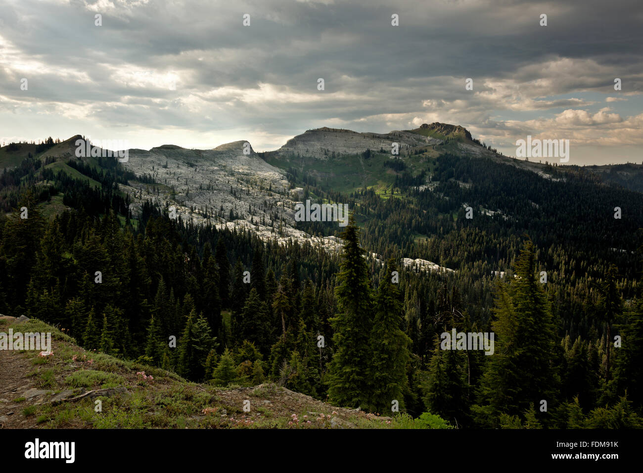 Kalifornien - Black Marble Mountain aus dem Pacific Crest Trail in the Marble Mountain Wilderness des Klamath National Forest Stockfoto