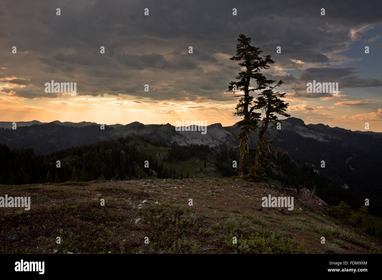 CA02688-00... Kalifornien - Sonnenuntergang über Marble Mountain vom Hügel in der Nähe von Shadow-See im Bereich Granit Mountain Wilderness der Stockfoto