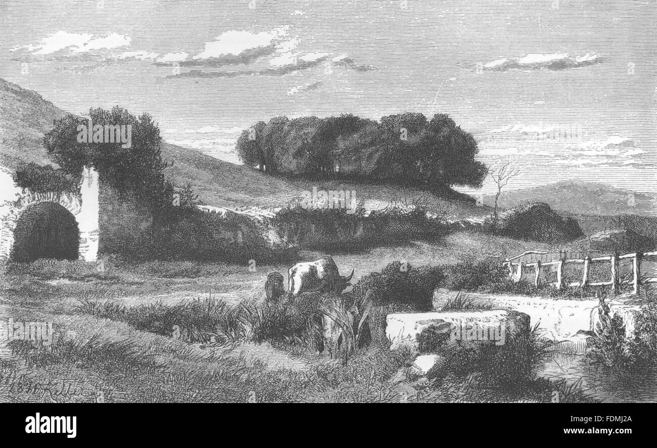 Italien: Holz und Grotte der Egeria in der Campagna, antique print 1877 Stockfoto