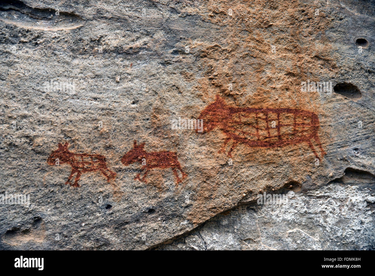 Detail der Petroglyphen auf Felsen in der Sierra National Park Capybara Stockfoto