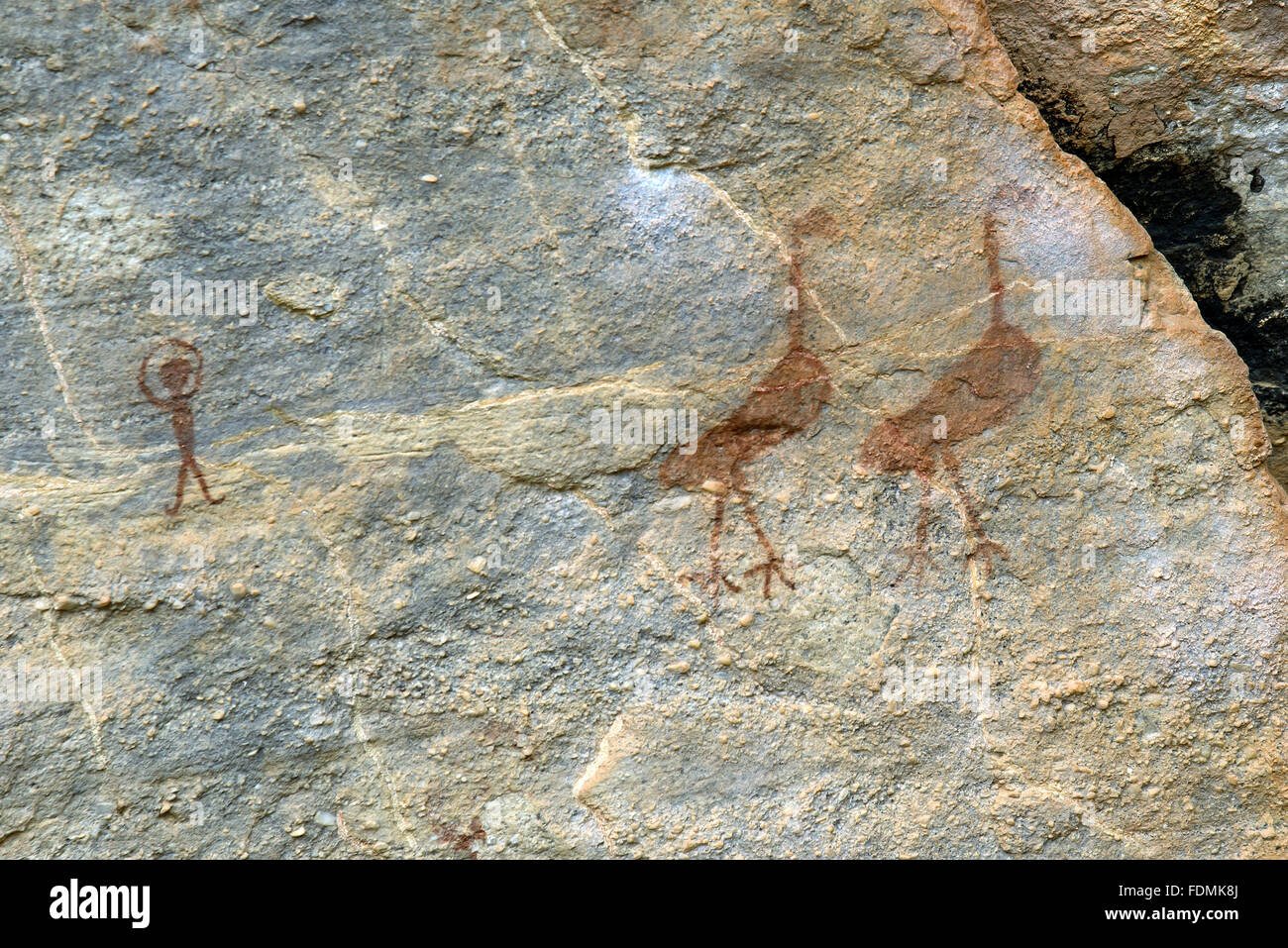 Detail der Petroglyphen auf Felsen in der Sierra National Park Capybara Stockfoto