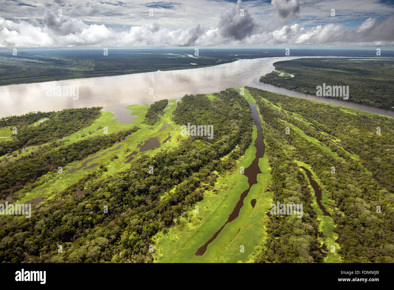 Luftaufnahme von Fluss und Wald in der Amazon Buch nachhaltige Entwicklung Mamirauá Stockfoto