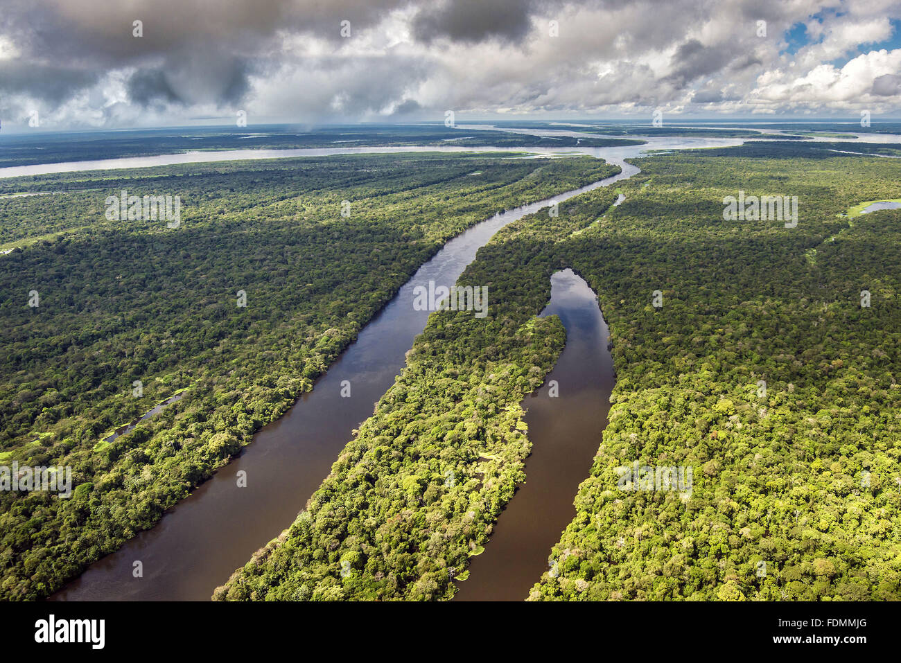 Luftaufnahme des Japura und Amazon River Forest Reserve in nachhaltige Entwicklung Mamirauá Stockfoto