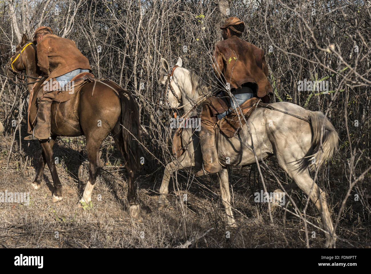 Cowboy Satan Wams in den Busch - das Pajeú Stockfoto