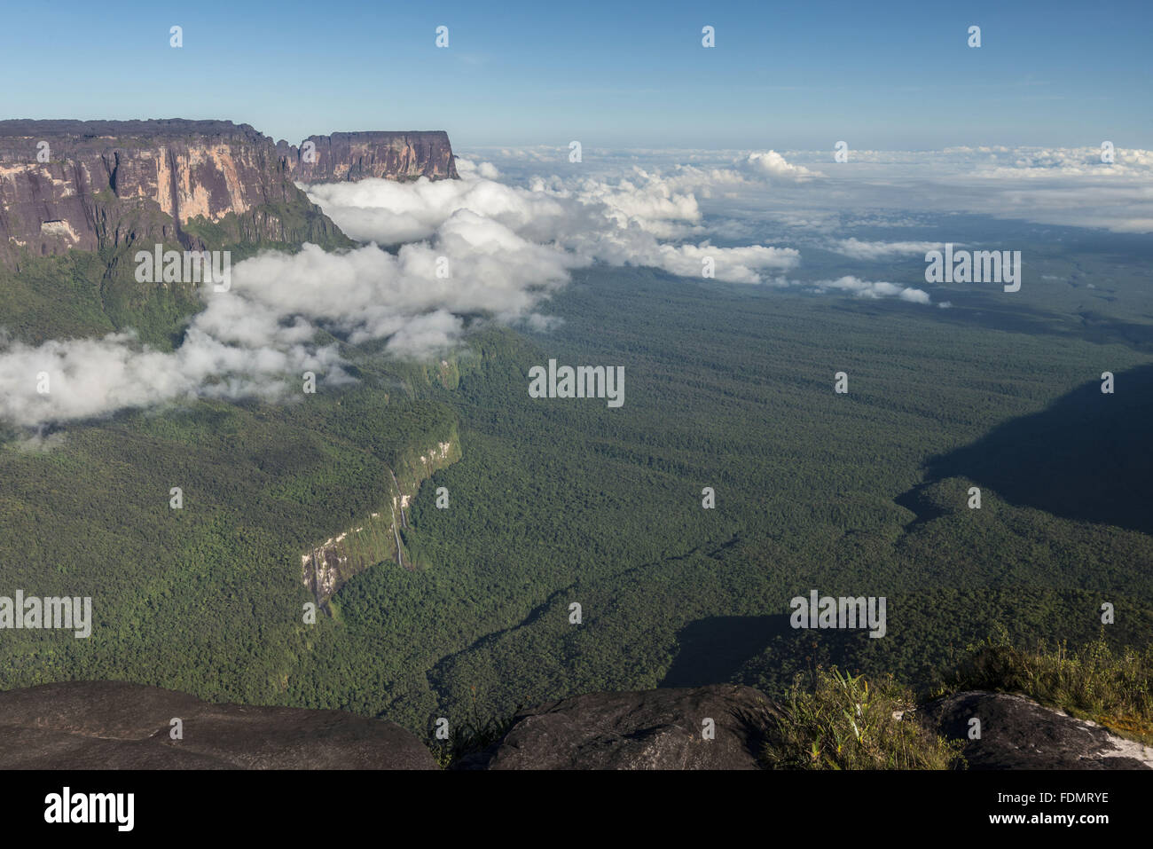 Nationalpark Mount Roraima - Sierra de Pacaraima Stockfoto