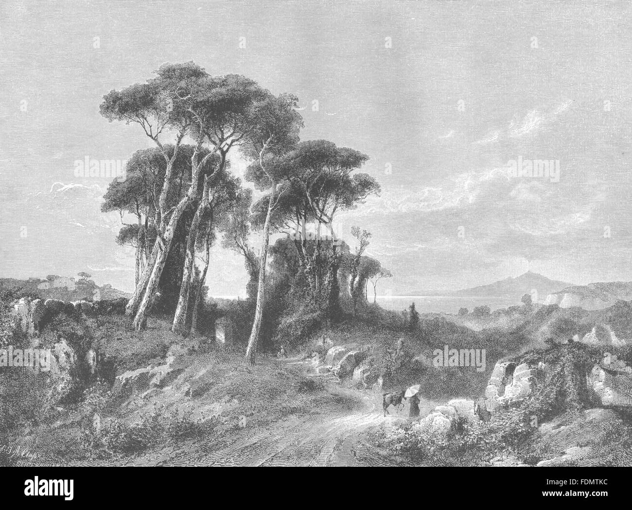 Italien: Kiefernwald in der Nähe von Torre Del Greco, antique print 1877 Stockfoto