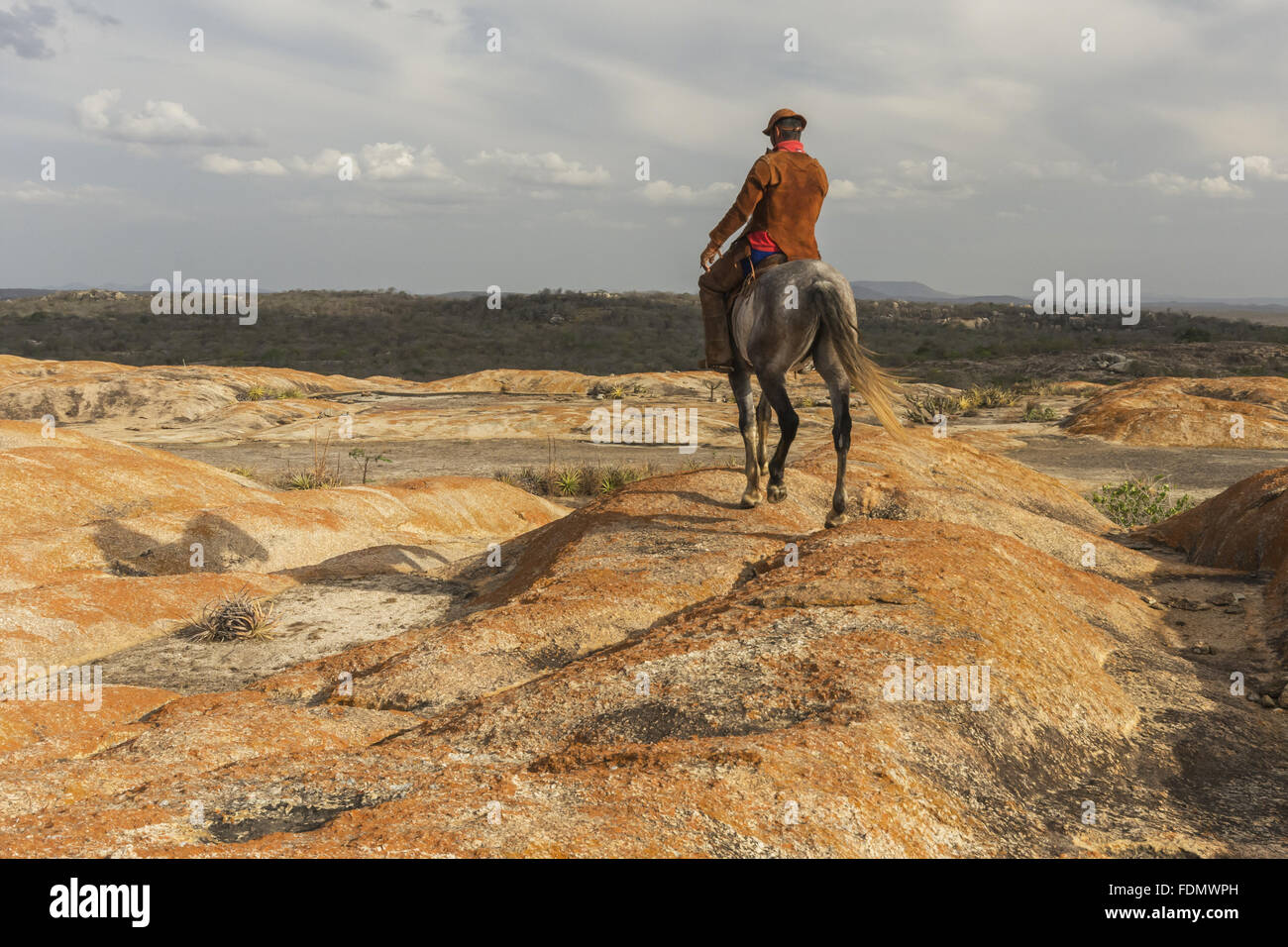 Cowboy tragen Leder Wams - Lajedo Farn - APA Cariri Stockfoto