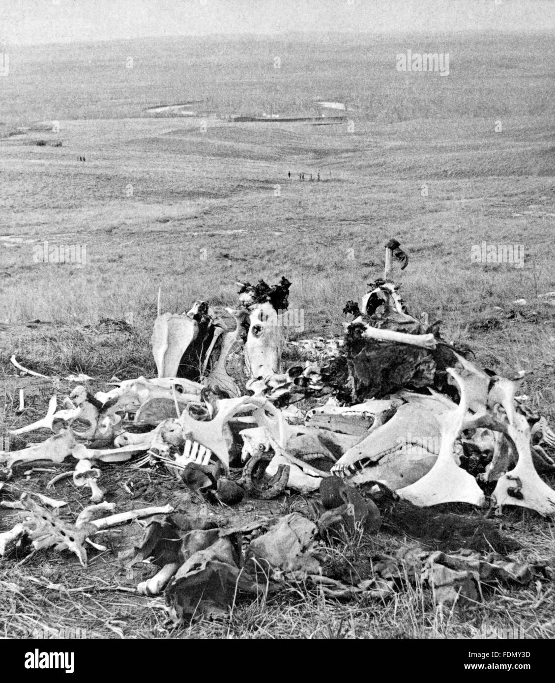 Haufen Knochen an der Stelle des George Armstrong Custer letzte Gefecht in der Schlacht von Little Bighorn, Montana, USA. Fotografiert und veröffentlicht von S.J. Morrow, c1876. Stockfoto