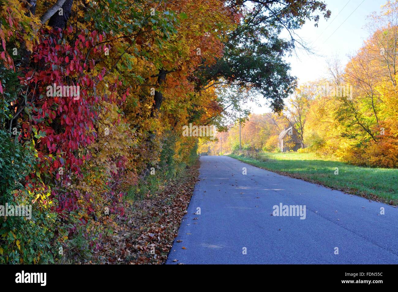 Herbst Ländliches Motiv, Tippecanoe County, Indiana Stockfoto