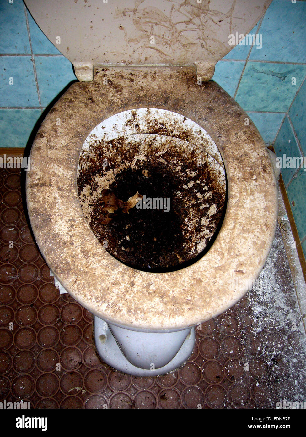 Toilette, Schmutz, Kot Stockfotografie - Alamy
