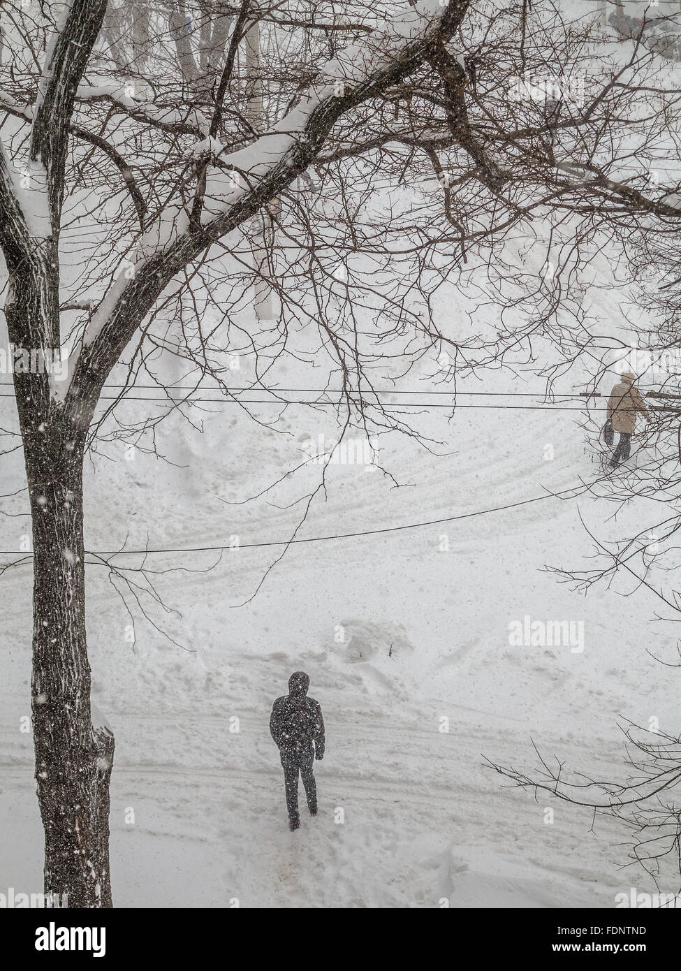 Odessa, Ukraine - 18. Januar 2016: Ein leistungsfähiges Zyklon, Sturm, Schneefall gelähmt die Stadt. Menschen zu Fuß auf der Straße durin Stockfoto