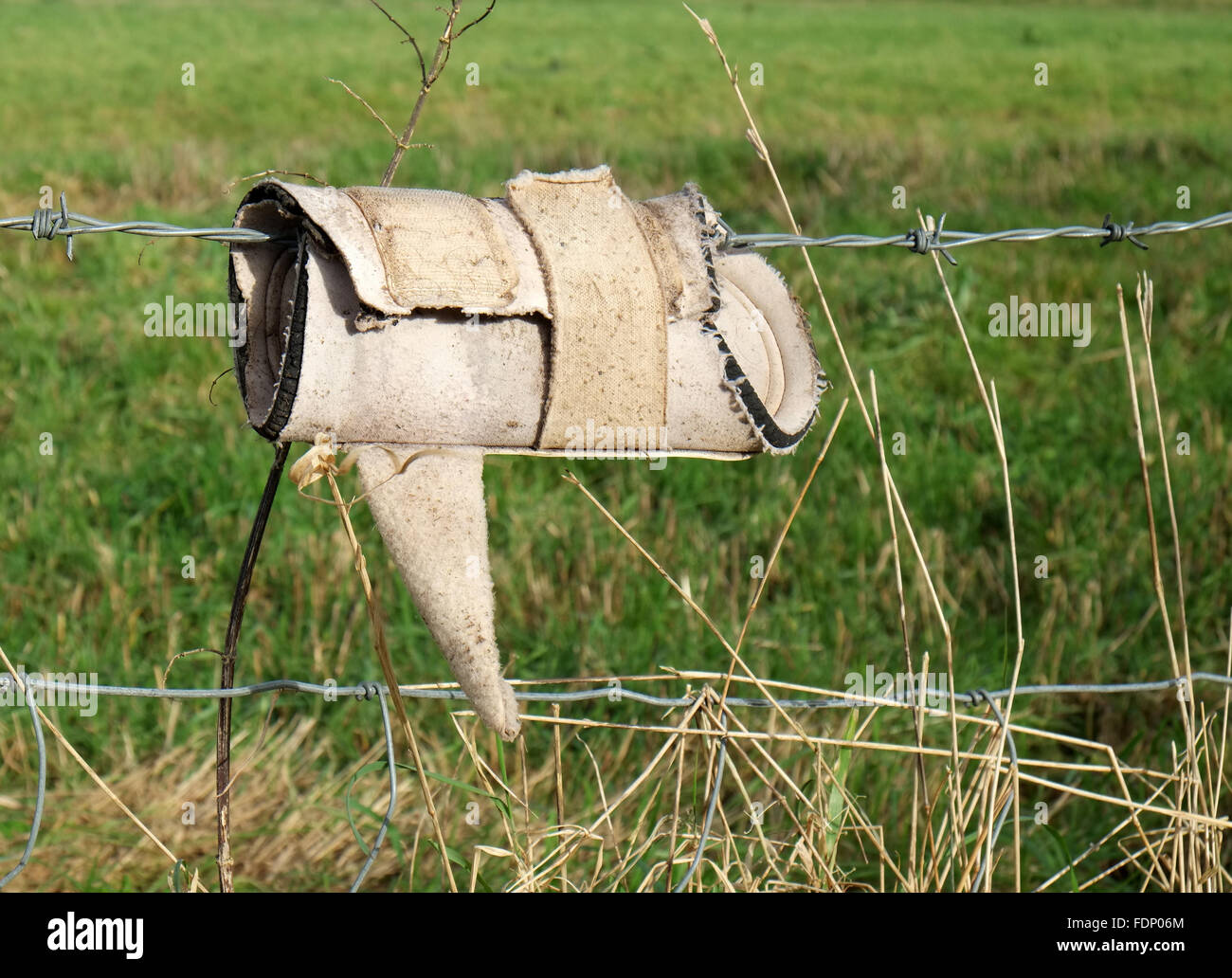 Schienbeinschutz entlaufenen Pferd hängen an einem Stacheldrahtzaun, Februar 2016 Stockfoto