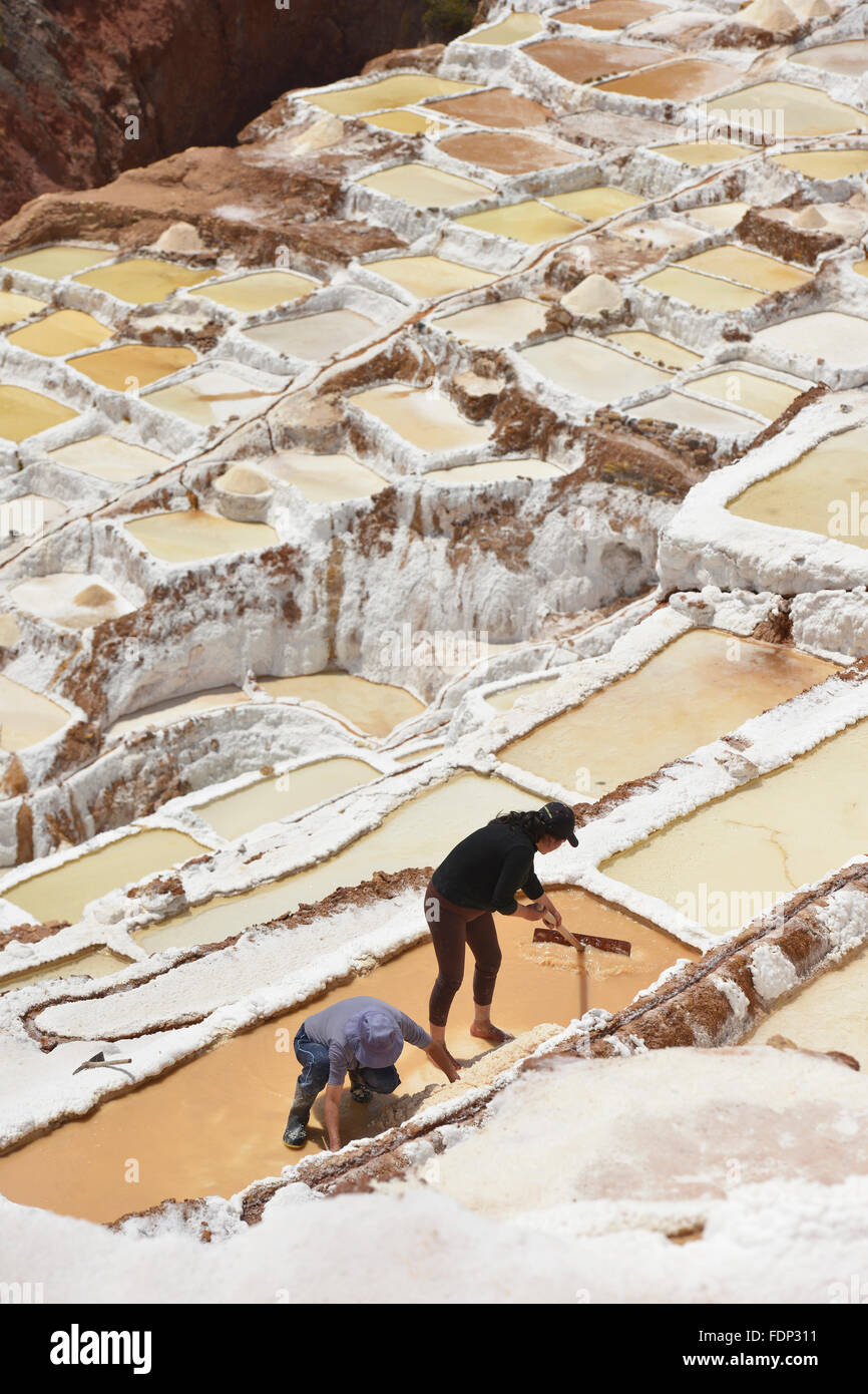 Salina de Maras, traditionellen Inka Salz Feld in Maras in der Nähe von Cuzco in Peru Sacred Valley. Stockfoto