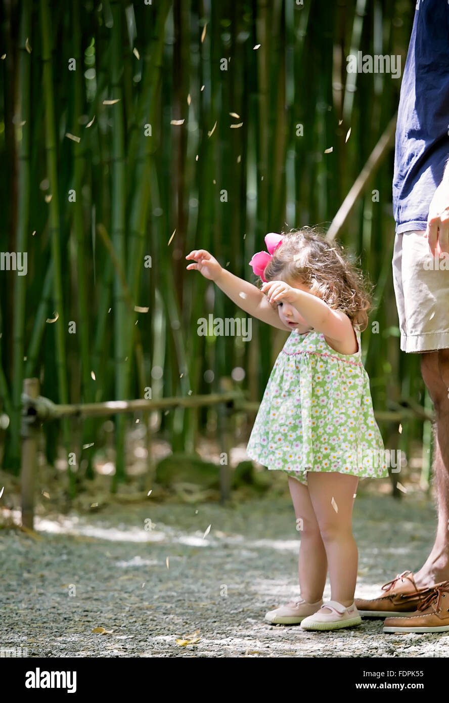 Bild von einem Kleinkind Mädchen steht in einem Bambusgarten versucht, ihre Blätter zu fangen, wie sie fallen. Stockfoto