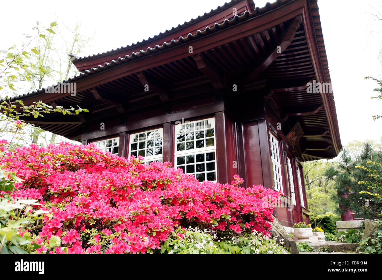 Japanese Garden Leverkusen Germany Stockfotos und bilder Kaufen Alamy