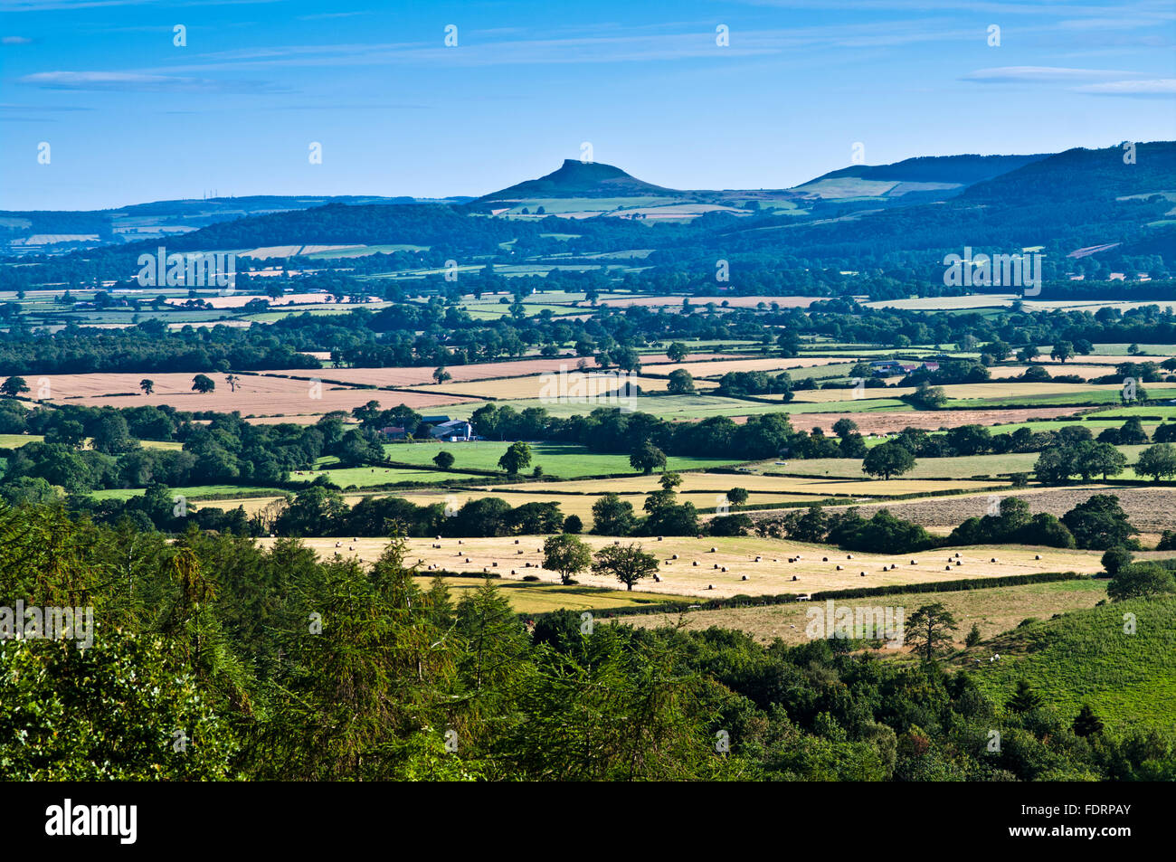 Sommer Blick aus Ton-Bank über Ackerland im Tal, Nähe Topping, North York Moors, Yorkshire, England UK Stockfoto