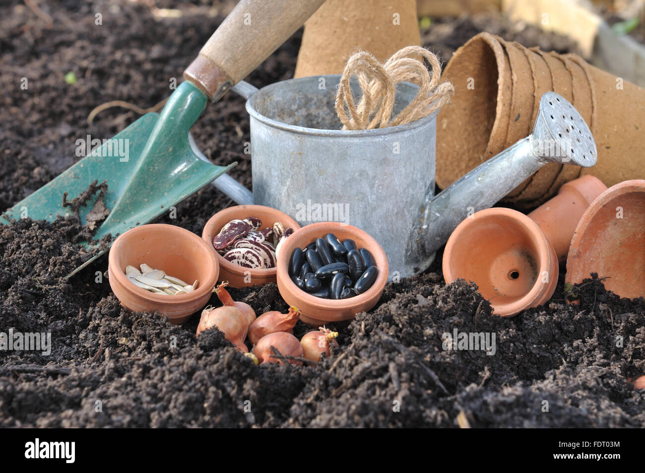 Saatgut, Blumenzwiebeln und Gartenzubehör in Gartenerde Stockfoto