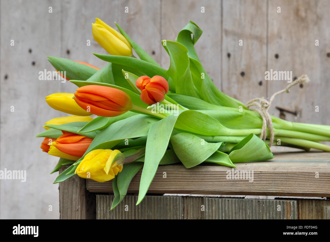 Bouquet von gelben und orangefarbenen Tulpen auf einer Holzkiste Stockfoto