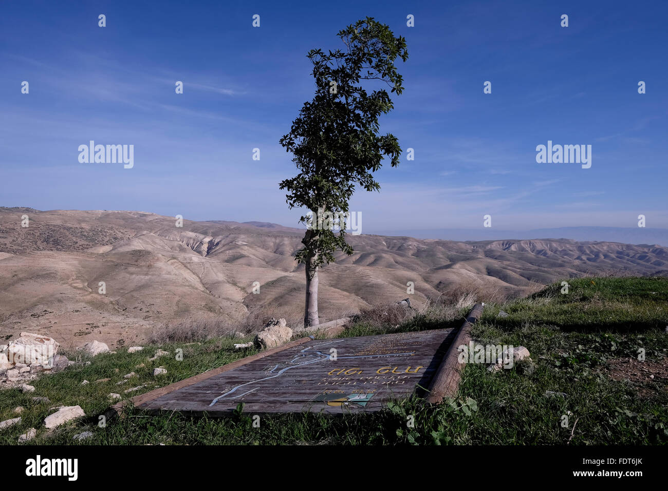 Blick auf die Judäischen Berge aus Nofei Prat jüdische Siedlung im Westjordanland Israel am 1. Februar 2016. Die palästinensische Autonomiebehörde hat gebeten, Airbnb, israelische Inserate in Siedlungen im Westjordanland von seiner Website zu entfernen. Die Palästinenser beklagen, dass durch einen Beitrag zur Wirtschaft in Judäa und Samaria, Airbnb, wie andere Unternehmen, die dort hilft Israels zu verewigen "Siedlung" Unternehmen. Stockfoto