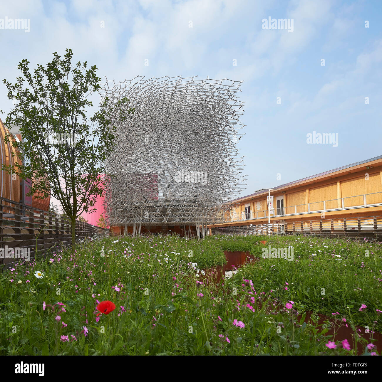 Wildblumenwiese der Pavillon Garten. Mailand Expo 2015, britischen Pavillon, Mailand, Italien. Architekt: Wolfgang Buttress, 2015. Stockfoto