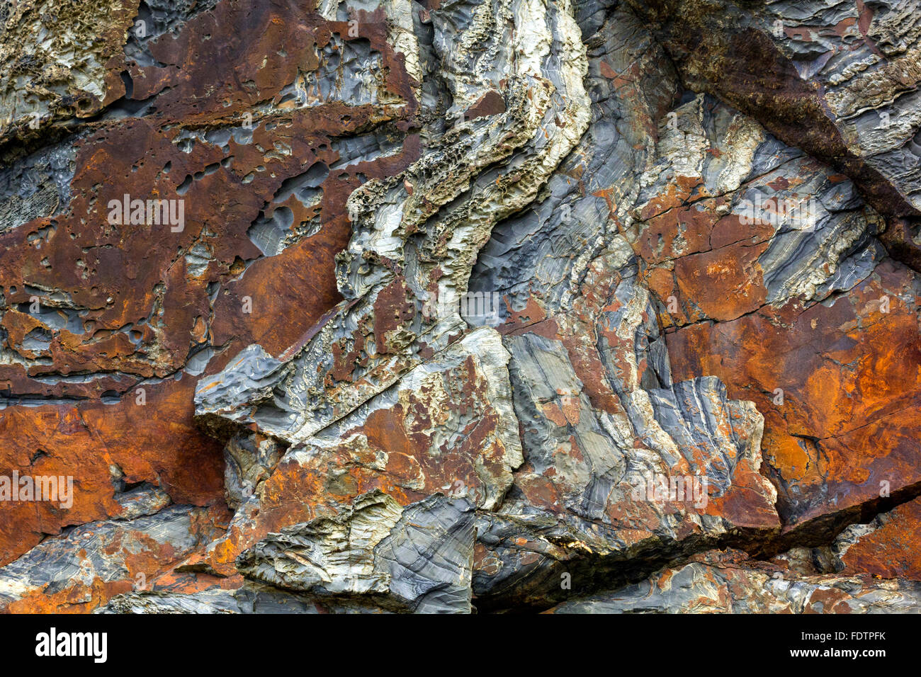 Bunte, erodierten und strukturierte Cliff Detail; St. Ives Bay, Cornwall, England. Stockfoto