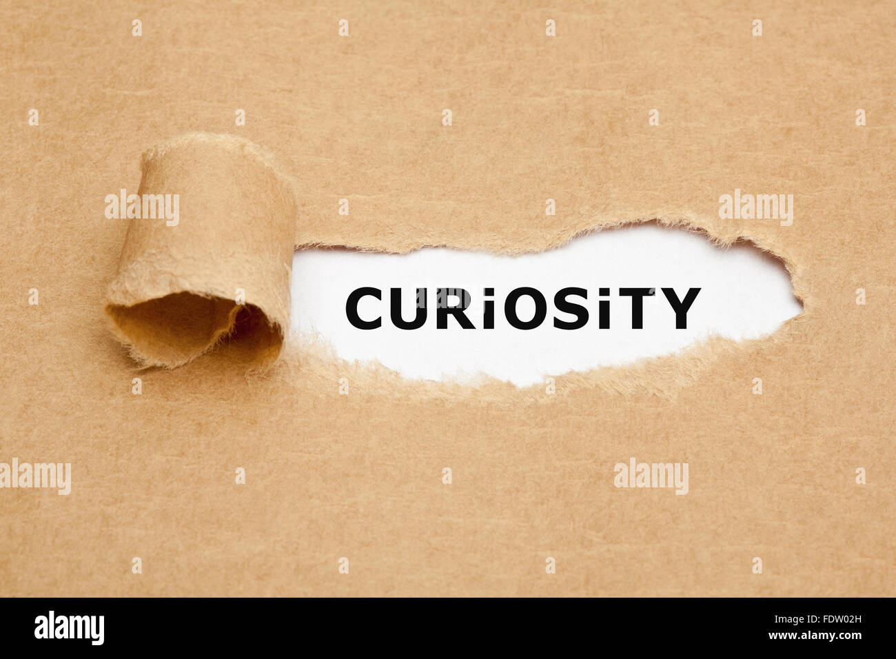Das Wort Neugier erscheint hinter zerrissenes braunen Papier. Neugier ist der Wunsch zu lernen oder erfahren Sie mehr über etwas oder jemanden. Stockfoto