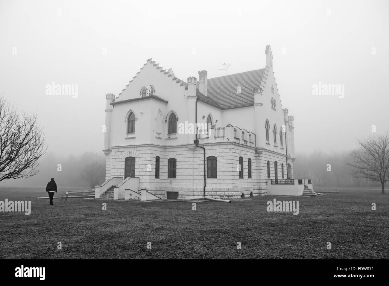 Die alte Burg, umgeben von Nebel und Winter Morgen. Stockfoto