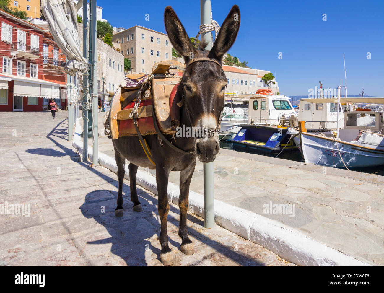 Esel auf Hydra städtischen Uferpromenade, Hydra-Insel, Griechenland Stockfoto