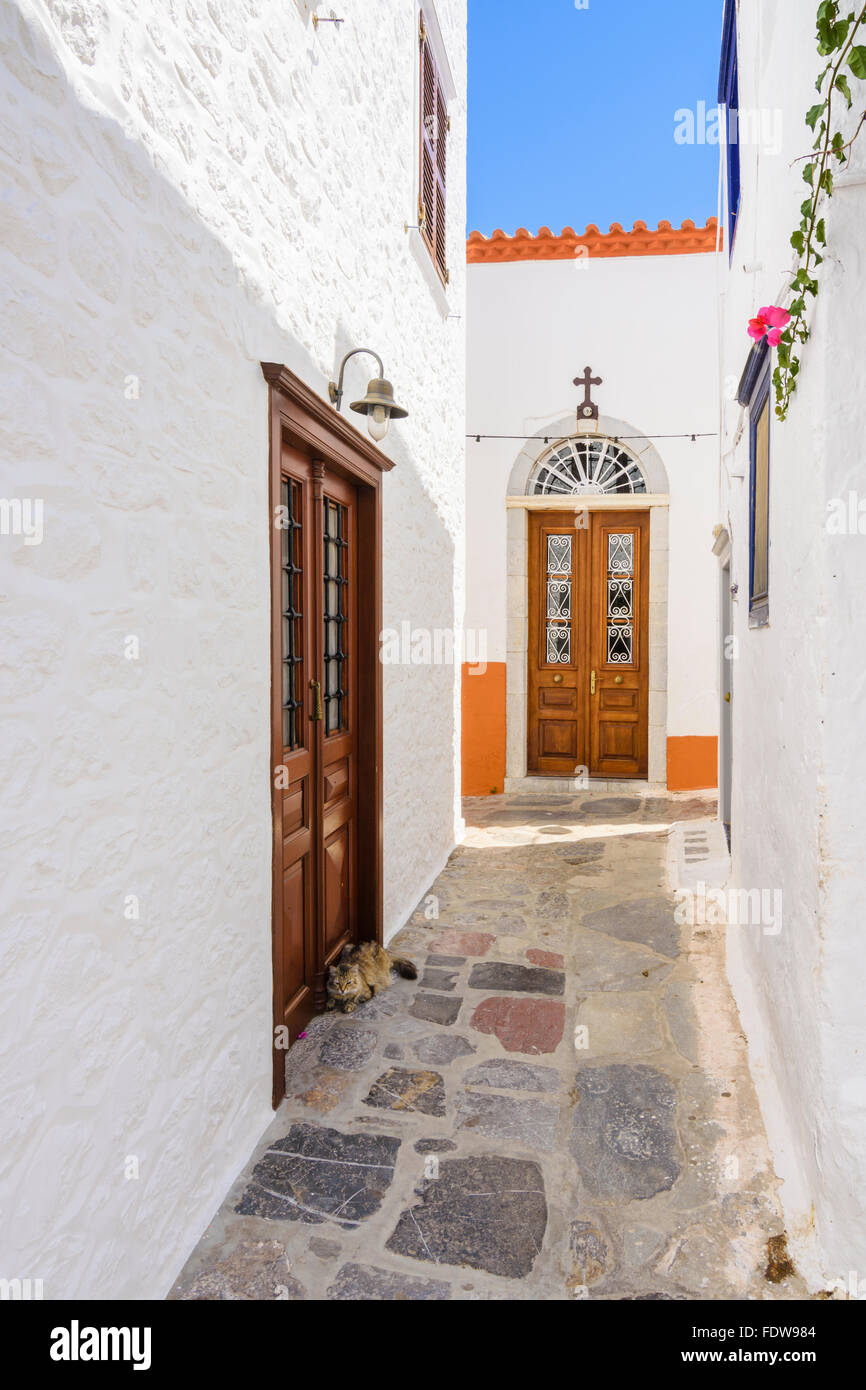 Griechischen Katze in die Gasse der Stadt Hydra, Hydra-Insel, Griechenland Stockfoto