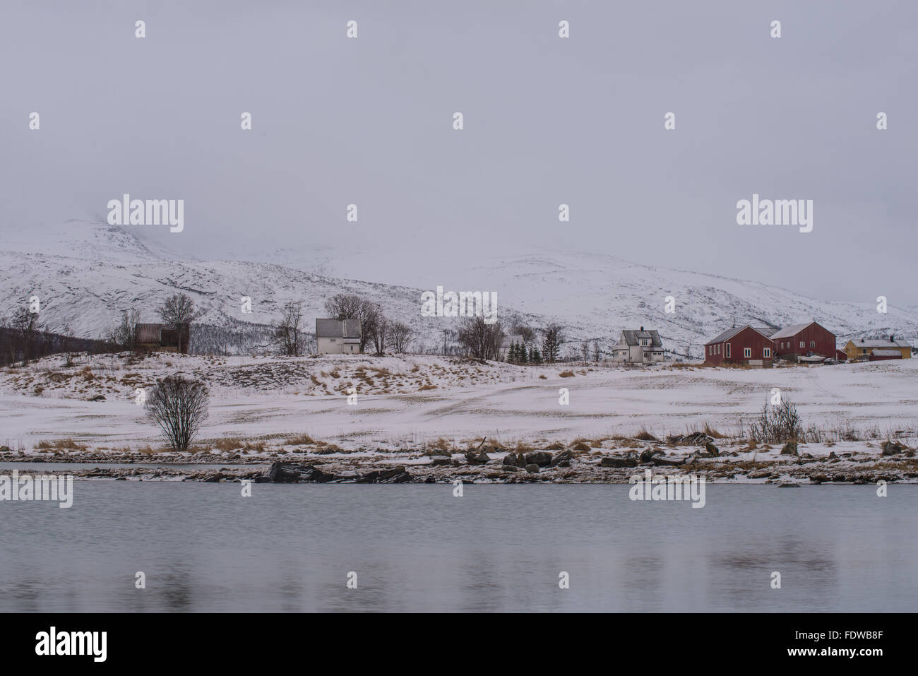 Gefangen in Lofoten Inseln, Norwegen im Januar 2016. Stockfoto