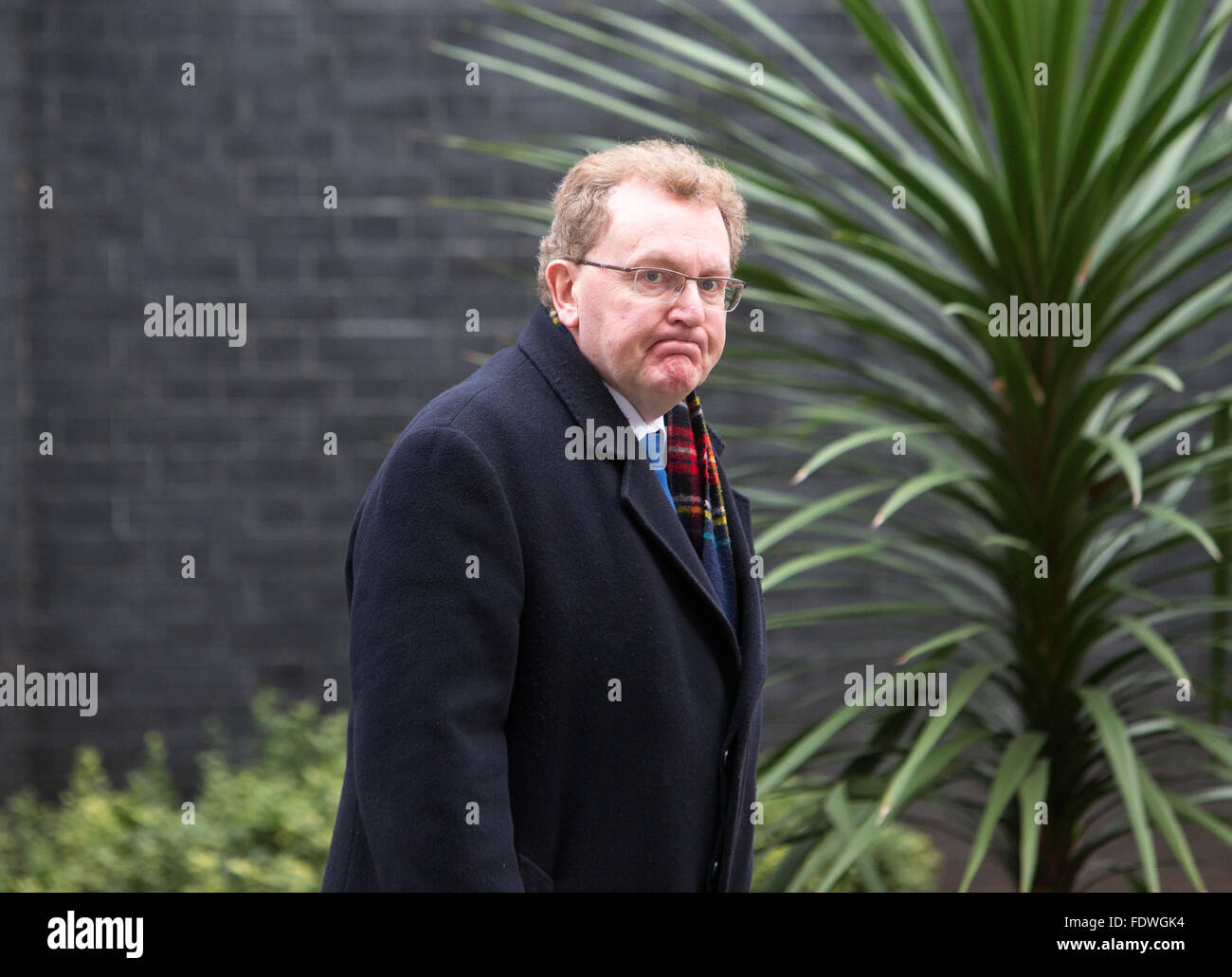 David Mundell, Staatssekretär für Schottland, kommt in der Downing Street für eine Kabinettssitzung Stockfoto