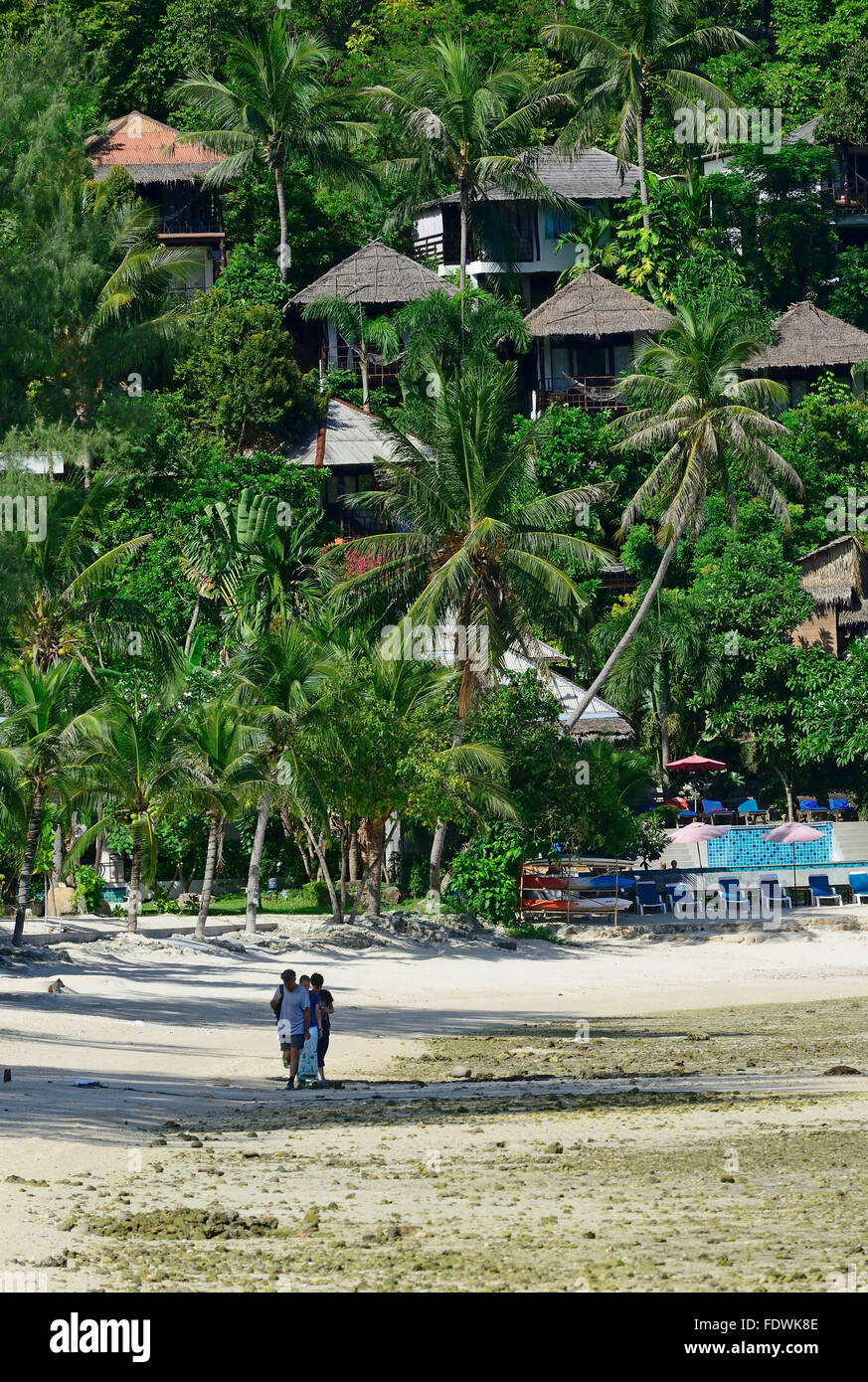 Haad Salad Strand bei Ebbe, Koh Phangan, Thailand Stockfoto