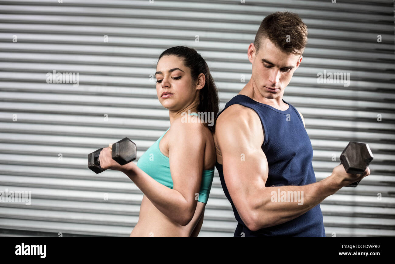 Passen Sie Menschen heben Hanteln Rücken an Rücken Stockfoto