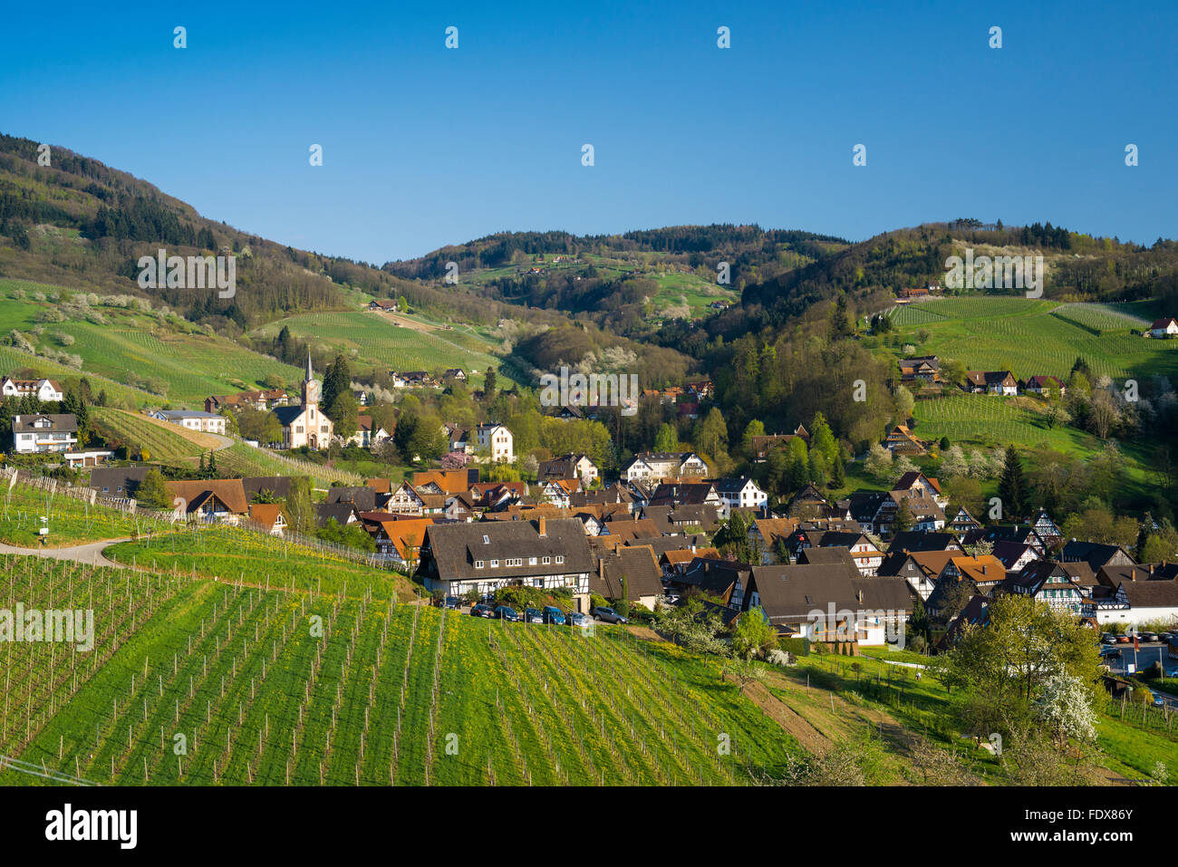 Sasbachwalden, Ortenau, Schwarzwald, Baden-Württemberg, Deutschland Stockfoto