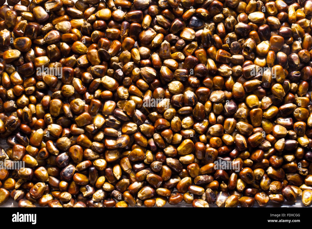 Geröstetem Mais Samen Hintergrund, Makro Foto Schuss Stockfoto