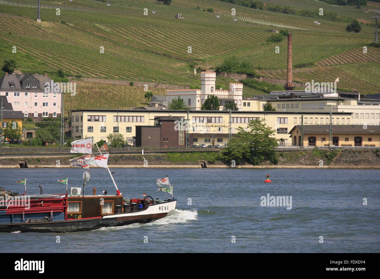 Deutschland, Rheinland-Pfalz, Bingen am Rhein, Blick Auf Das Gegenueberliegende Hessische Ufer Mit Rüdesheim am Rhein Stockfoto