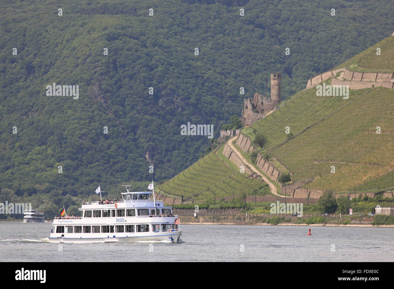 Deutschland, Hessen, Rüdesheim am Rhein, Ausflugs-Schiff Vor Ruedesheimer Berg Mit Burgruine Ehrenfels Stockfoto
