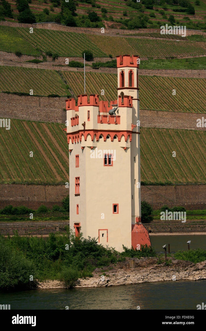 Deutschland, Rheinland-Pfalz, Bingen am Rhein, Mäuseturminsel, Mäuseturm Stockfoto