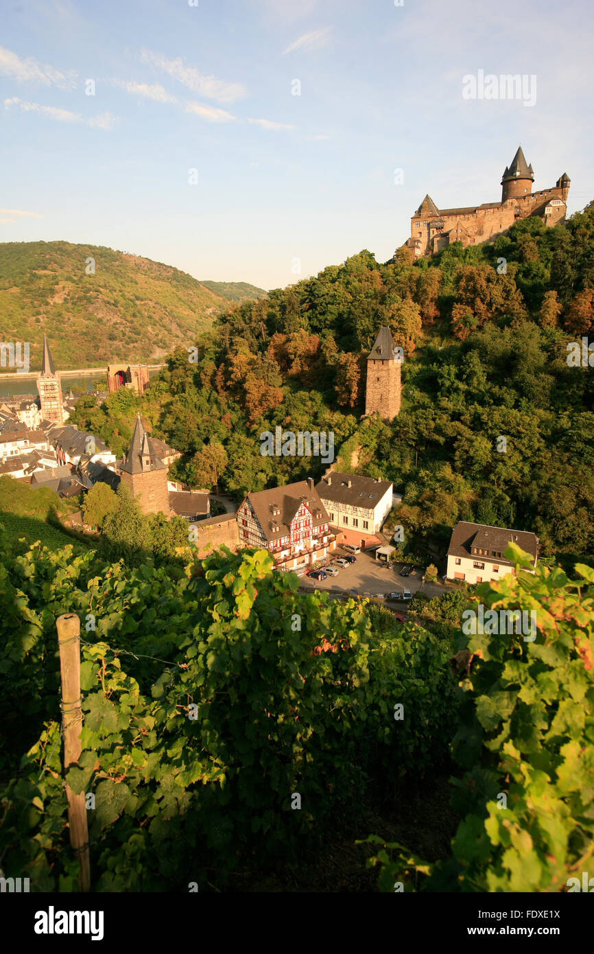Deutschland, Rheinland-Pfalz, Oberes Mittelrheintal, Blick Auf Bacharach Und Burg Stahleck Stockfoto