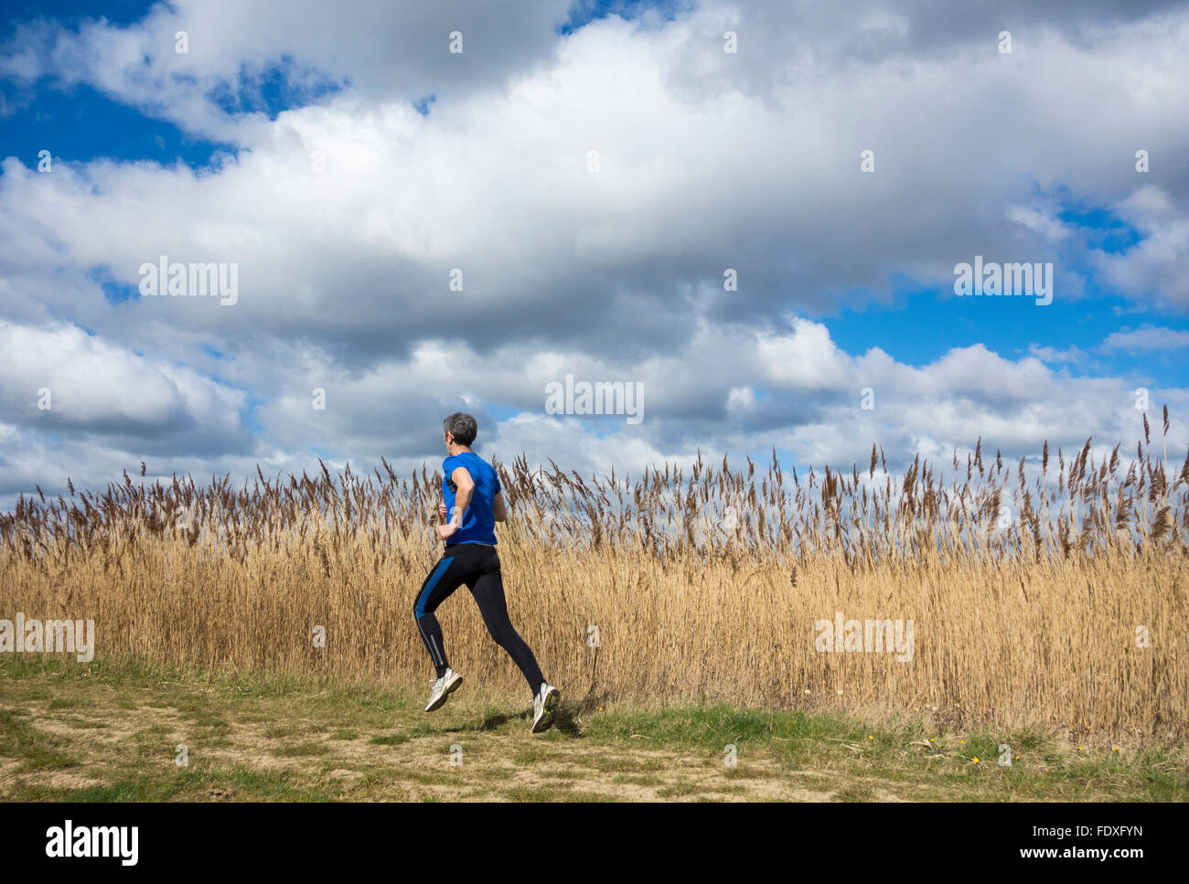 Ältere männliche Läufer unterwegs im Country Park. UK Stockfoto